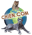 Chien.com, Portail canin