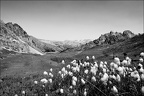 Les paysages