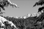 Les paysages