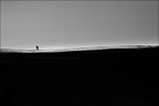 Les paysages