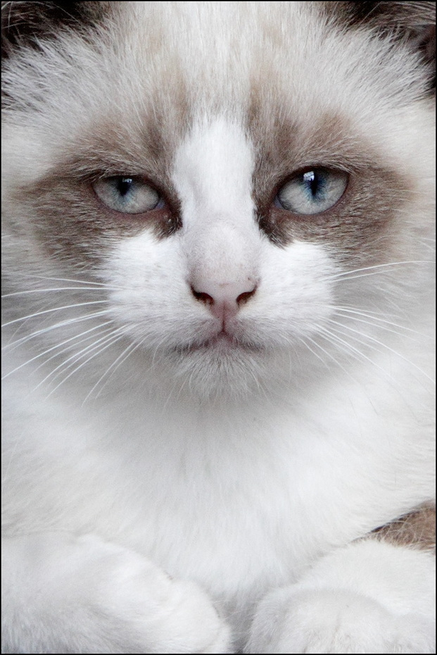 09_1441_chat.jpg