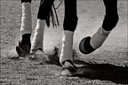 Les chevaux