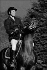 Les chevaux