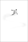 Ski alpin