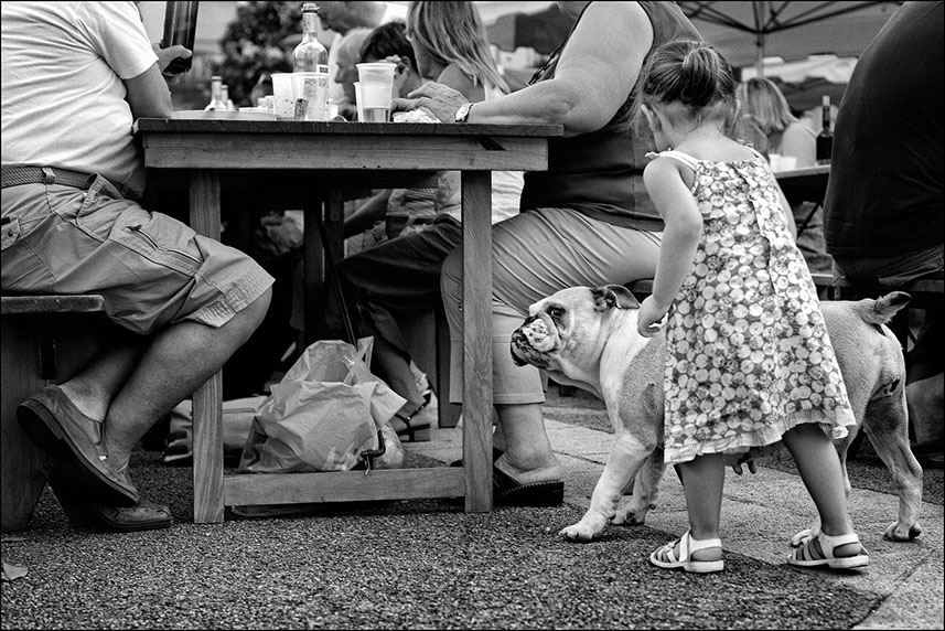 Le chien en société Bouledogue et enfant